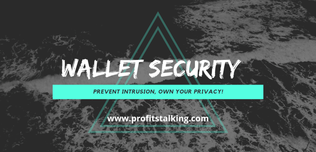 how to secure a Crypto Wallet-wallet security
