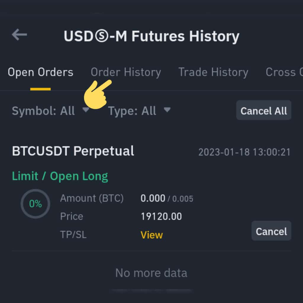 Binance Futures Contract Open Positions and History page